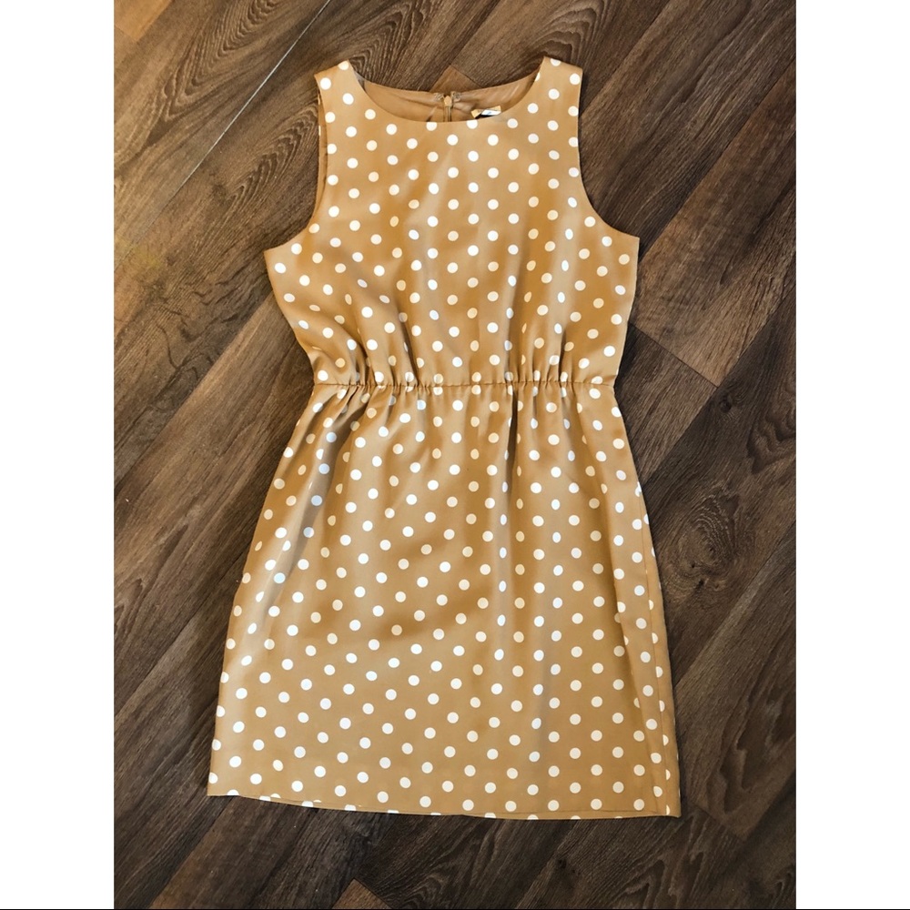 JCrew Polka Dot Dress